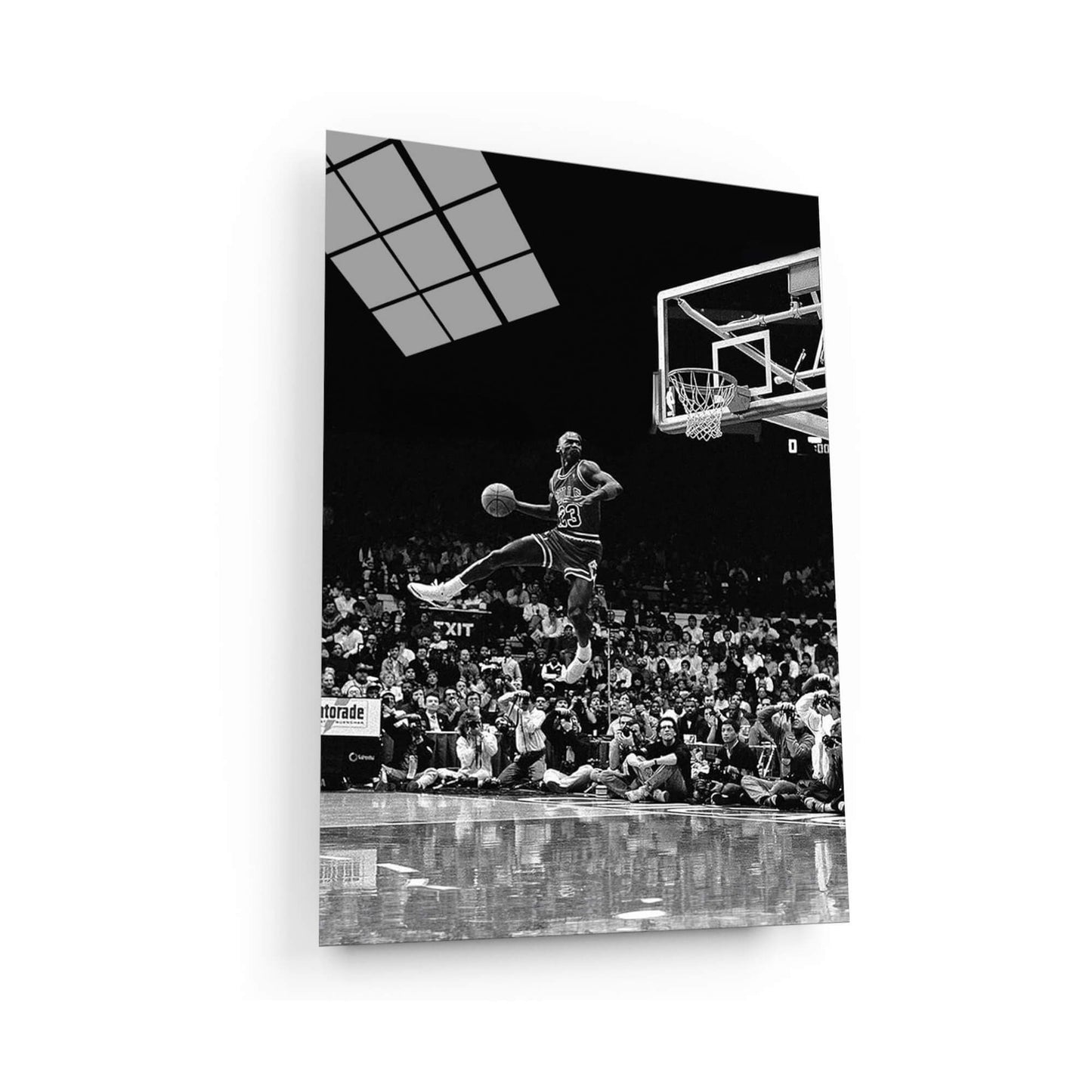 Frozen In Tine Michael Jordan Wall Art, Jordan 23 Chicago Bulls Poster, Wall Art, Mike Basketball Goat Canvas