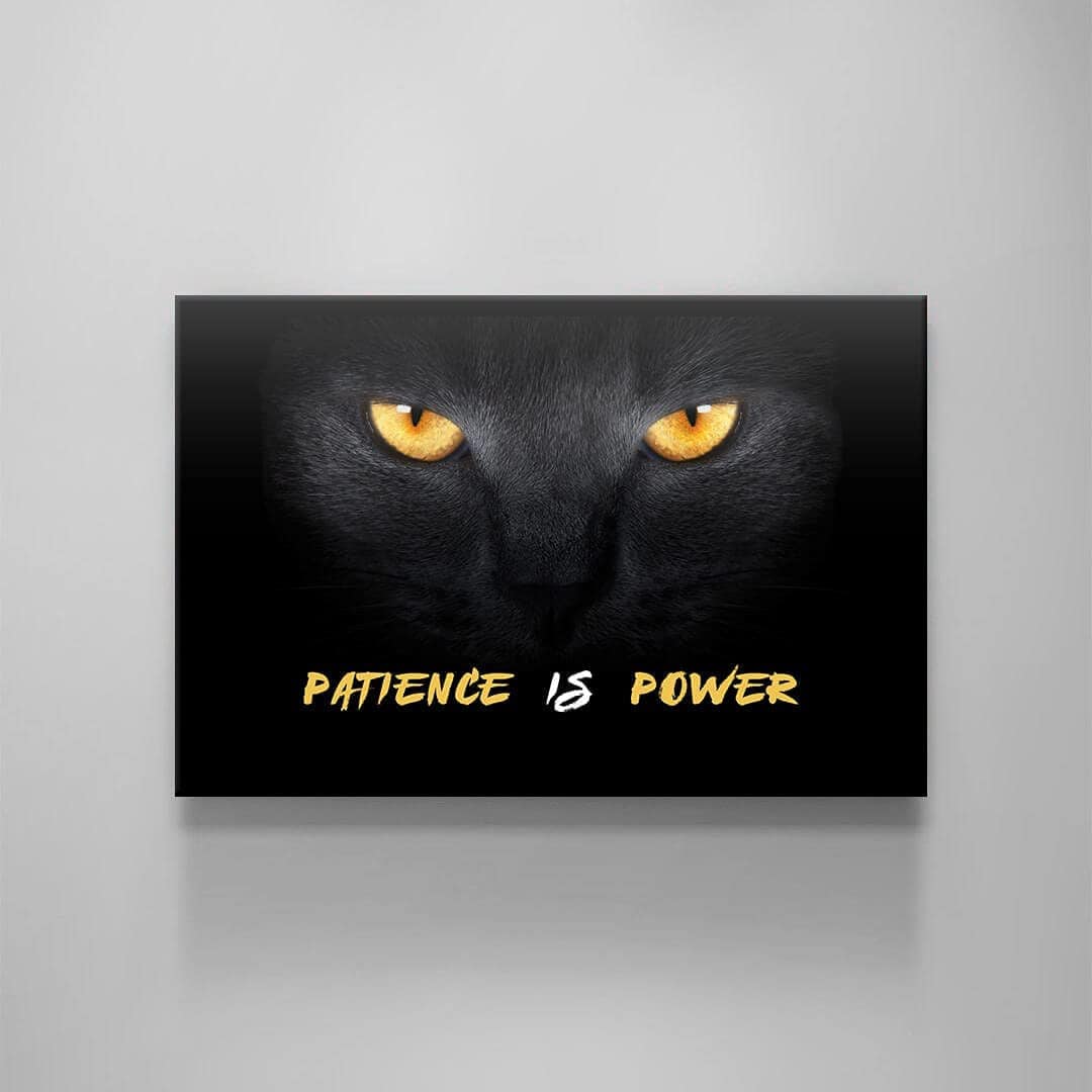 Cat Canvas Quote Motivational Art Never Give Up Hunter Design