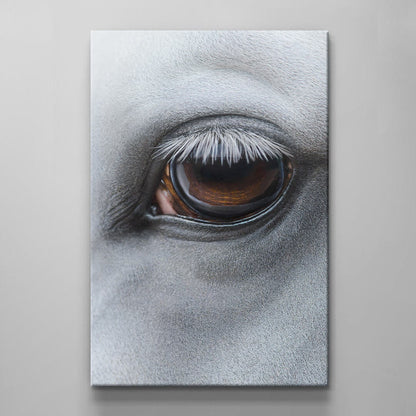 Horse Eye