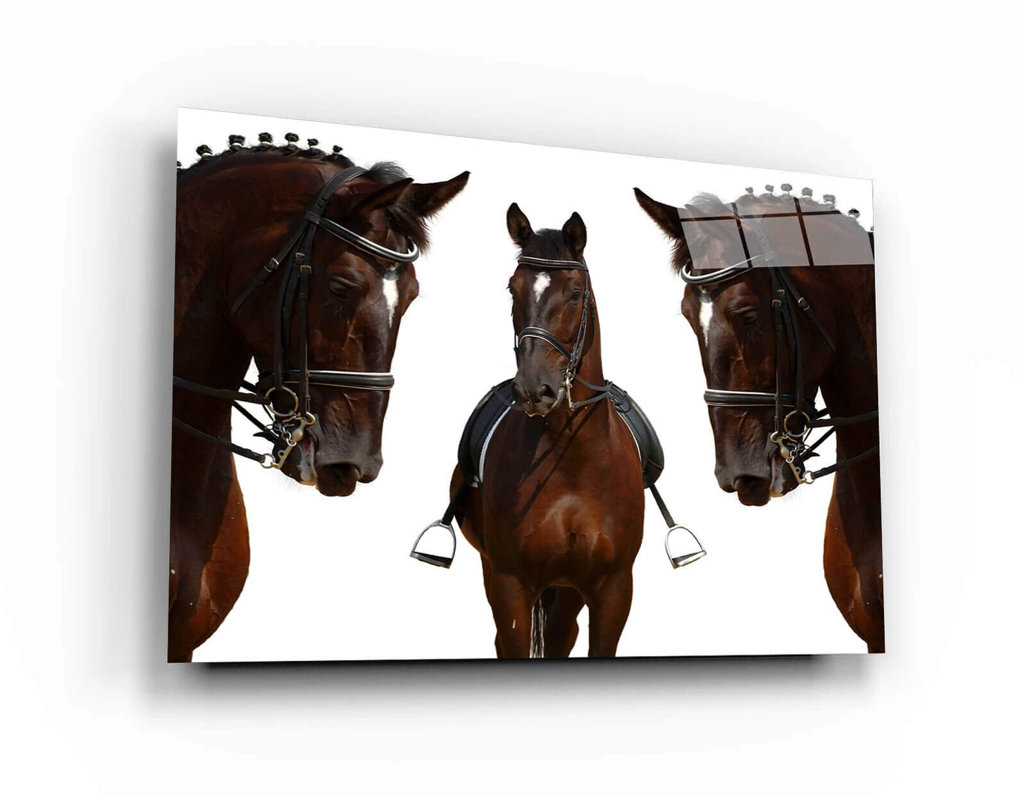 Three Brown Adult Horses