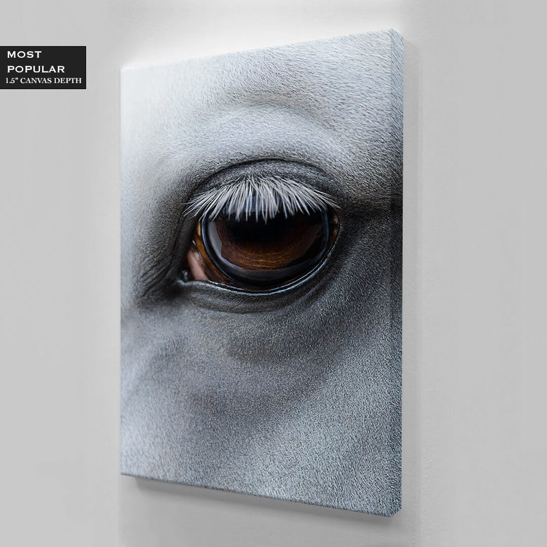 Horse Eye