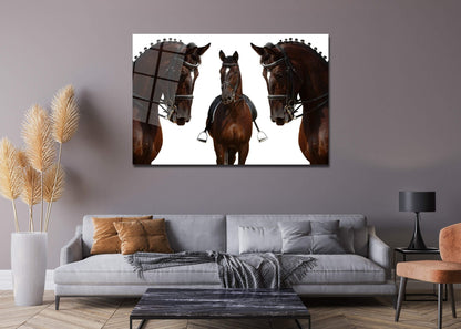 Three Brown Adult Horses