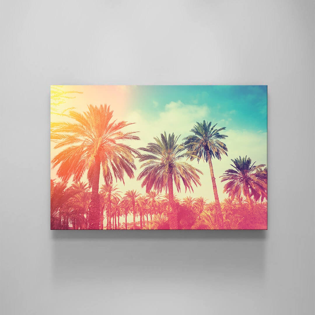 SUNNY PALMS