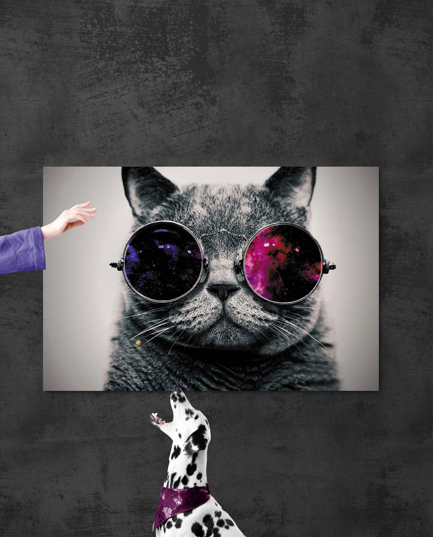 Cat Wearing Glasses funny cat wall art living room, post abstract canvas