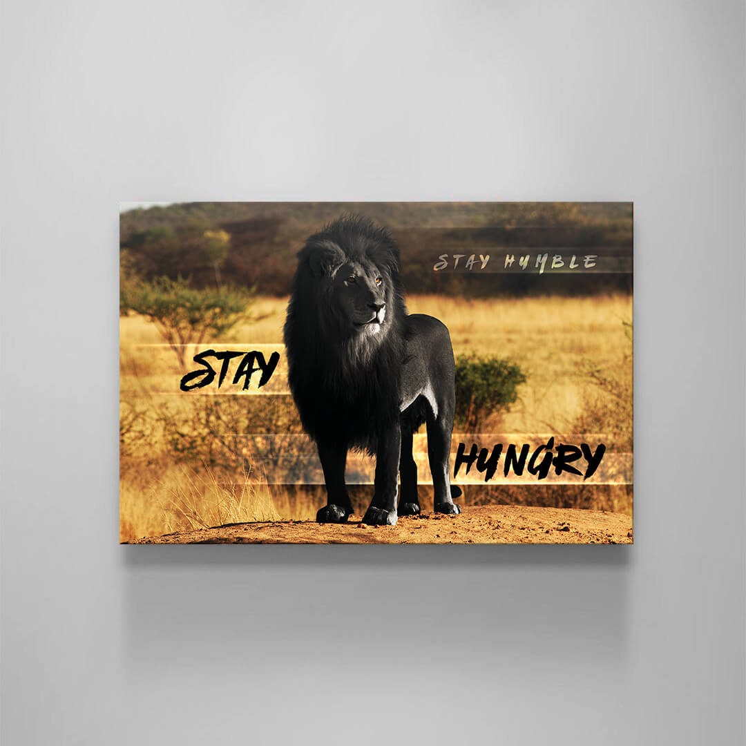 Stay Hungry Stay Humble Canvas Black Will Lion Motivational Quote Poster Lion in Jungle Leader Print King Leo Inspirational Office Art