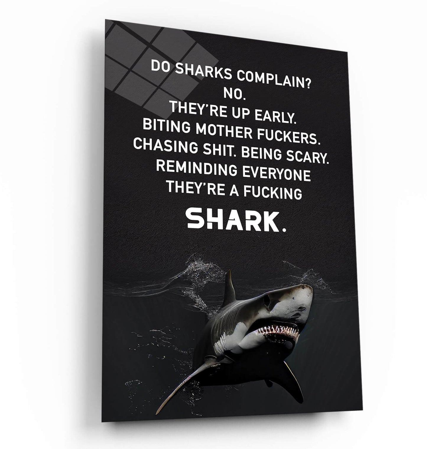 Shark Motivational Art Outwork Everyone Poster No Complain Print Work Hard Canvas Hustle Sign Be Humble Decor Be Up Early Reminder Art